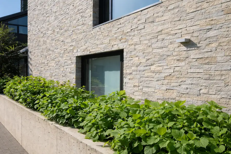 nettoyage façade mur pierre extérieur professionnel nyon