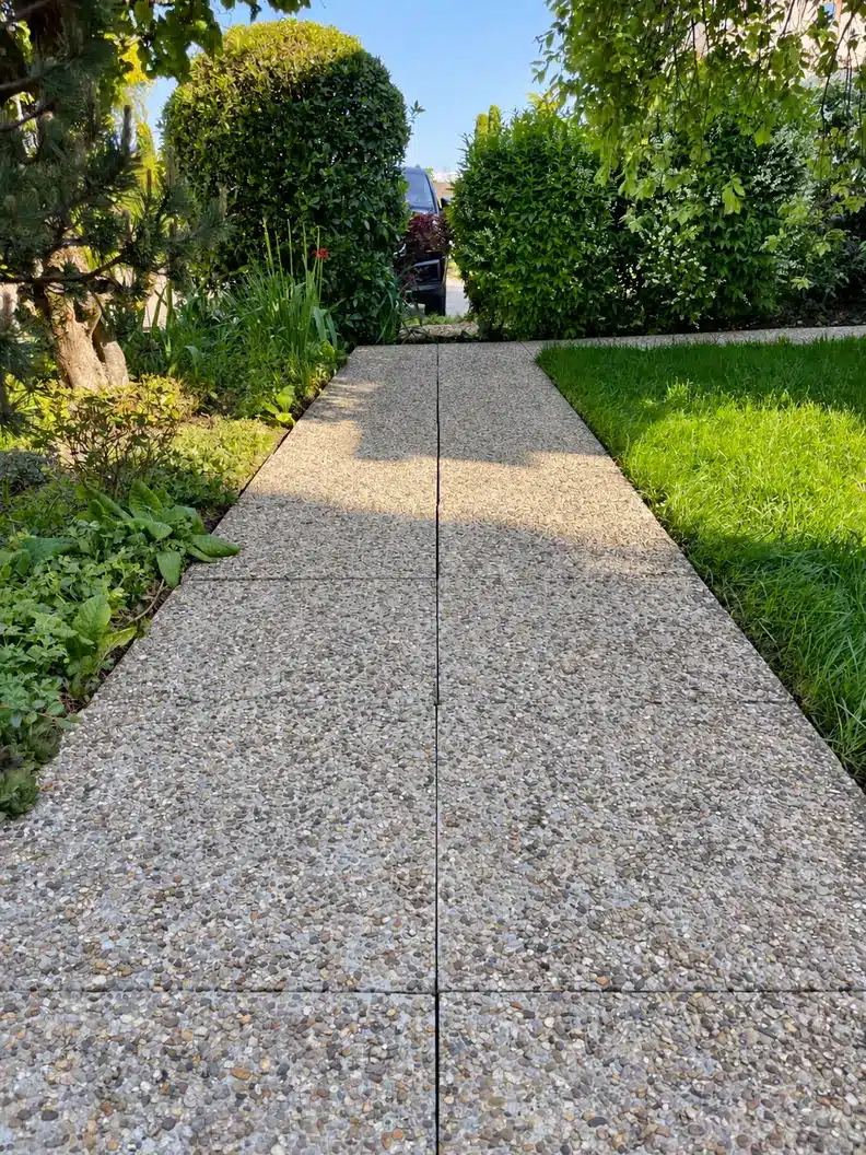 Allée en béton lavé après nettoyage, bordée de végétation.