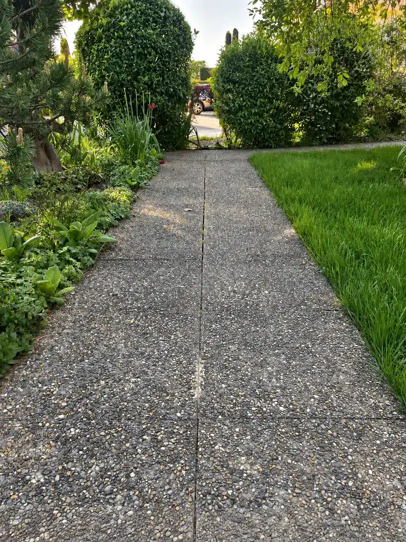 Allée en béton lavé avant nettoyage, bordée de végétation.