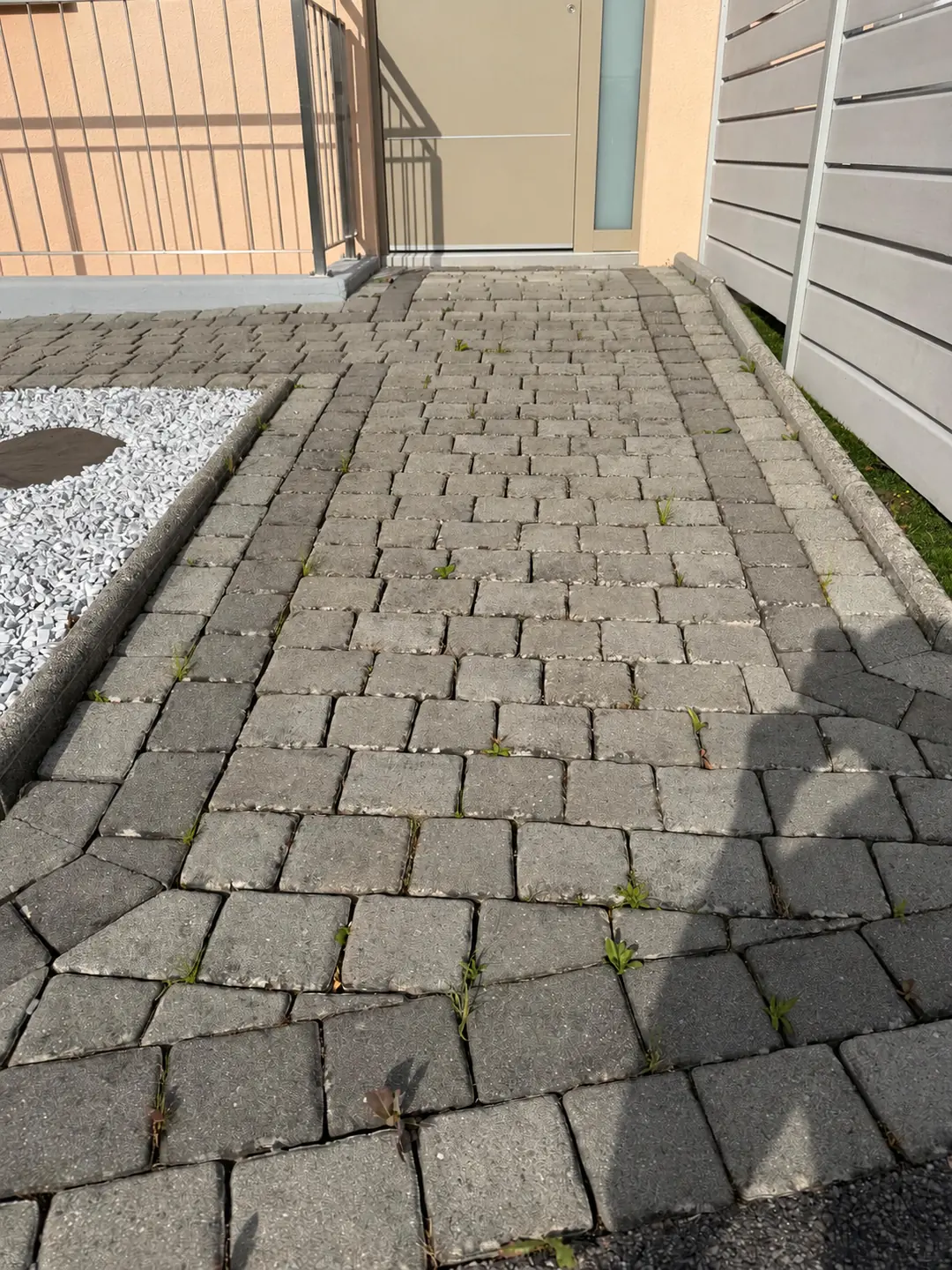 Entrée en pavés : vue avant, avec de la végétation entre les joints.