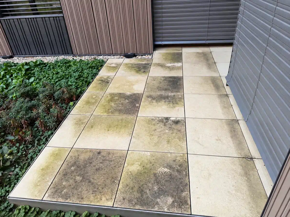 Terrasse en dalles avec des dépôts et traces verdâtres avant nettoyage.